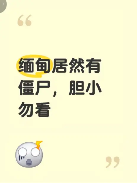 《缅甸僵尸出土事件》现场全程录像揭秘-缅北僵尸出土事件真相-高清无删减免费播放-缅甸僵尸出土事件视频在线观看