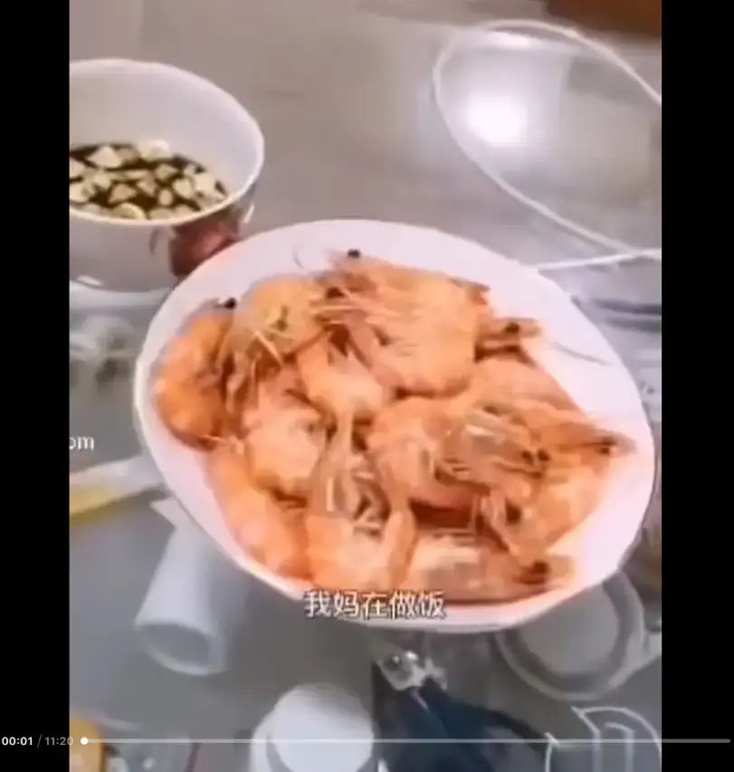 《大虾母子厨房完整版》高清视频百度夸克迅雷网盘资源-猎奇视频免费在线看-来龙去脉一看就明白