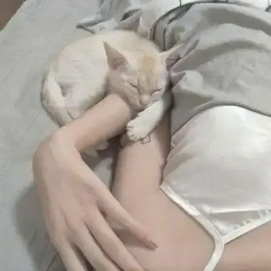 《森泽佳奈》高清全集未删减中文版免费在线看无广告网盘观看-年度现象级作品全集珍藏版-1080P蓝光无水印-百度网盘夸克迅雷高速下载